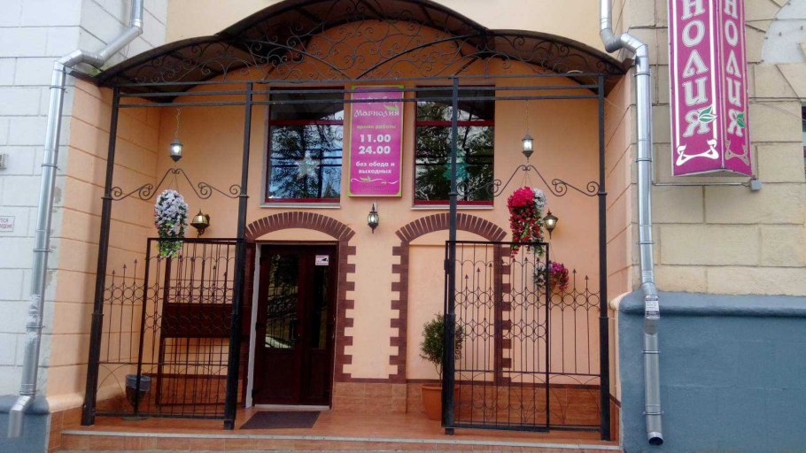 Магнолия Кобус Суланжа