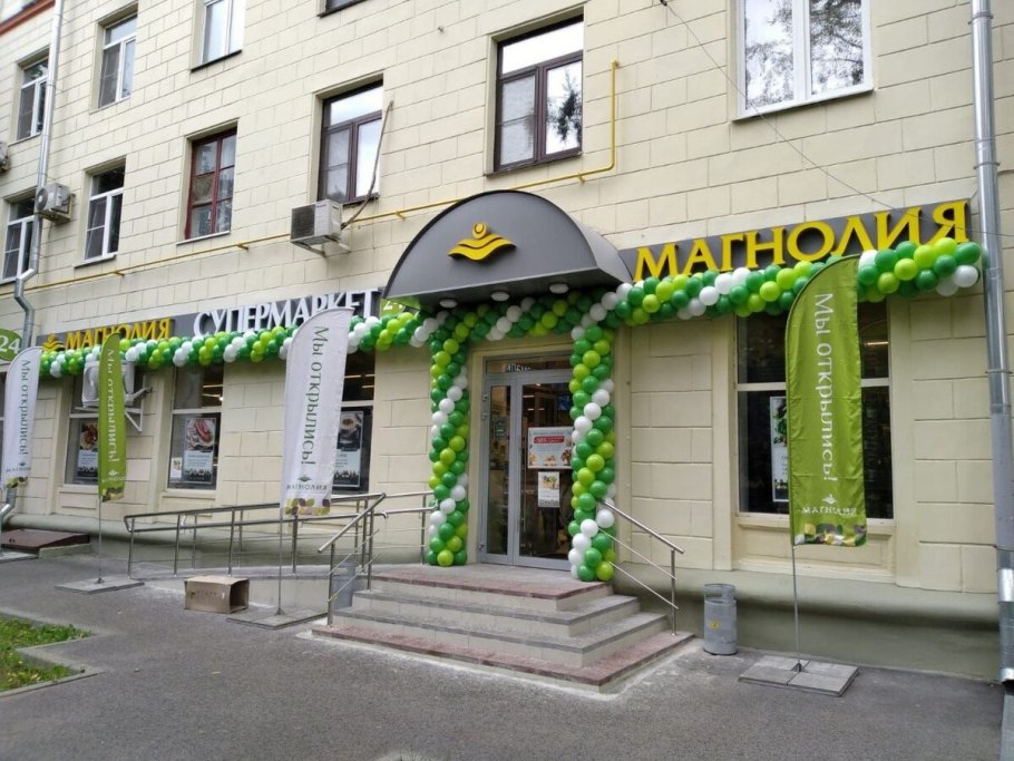 Магнолия грандифлора дерево (150-200см)