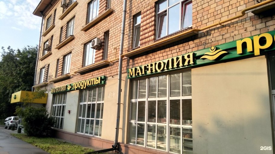 Магнолия Лилифлора птичий