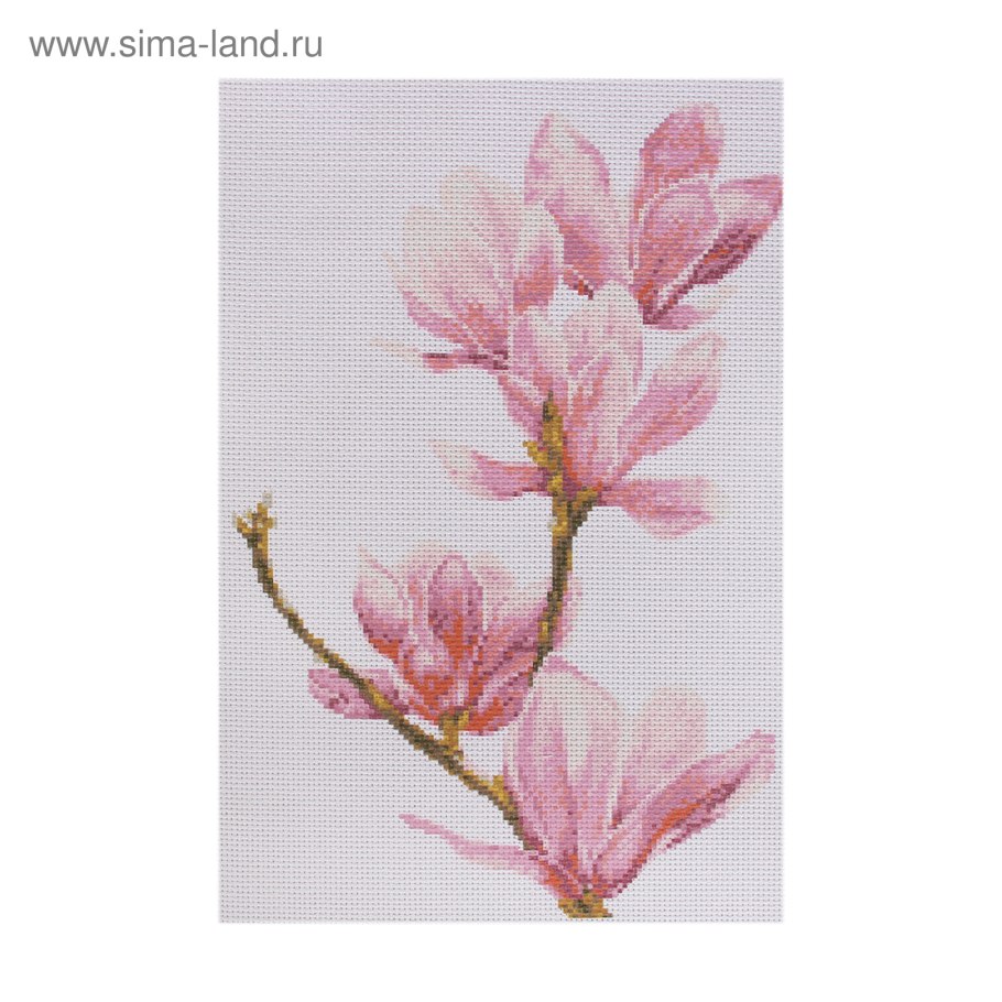 Магнолия трехлистная