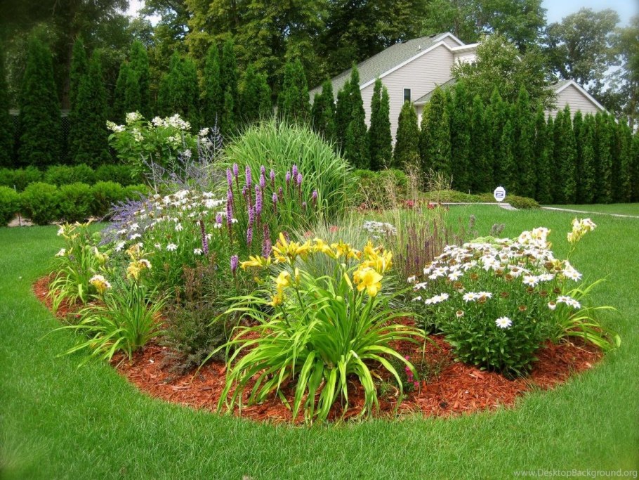 Миксбордер с лилейниками