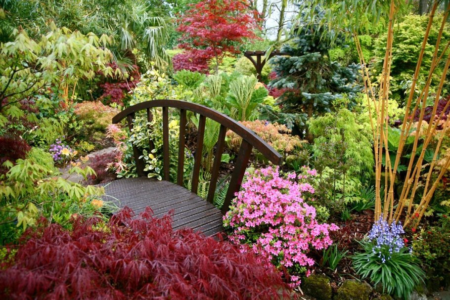 Миксбордер в японском стиле