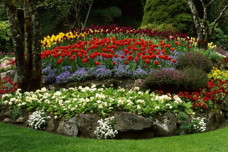 Красивые клумбы