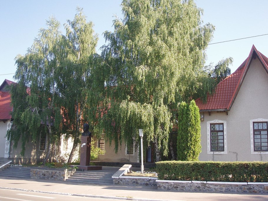 Береза повислая Youngii