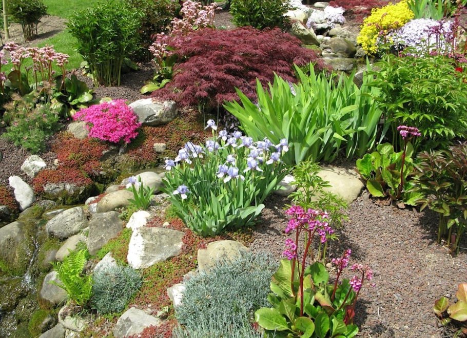 Альпийская горка миксбордер Хоста