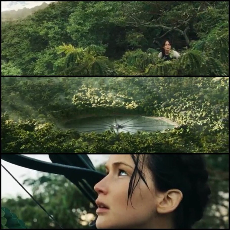 Nichameleon Цири