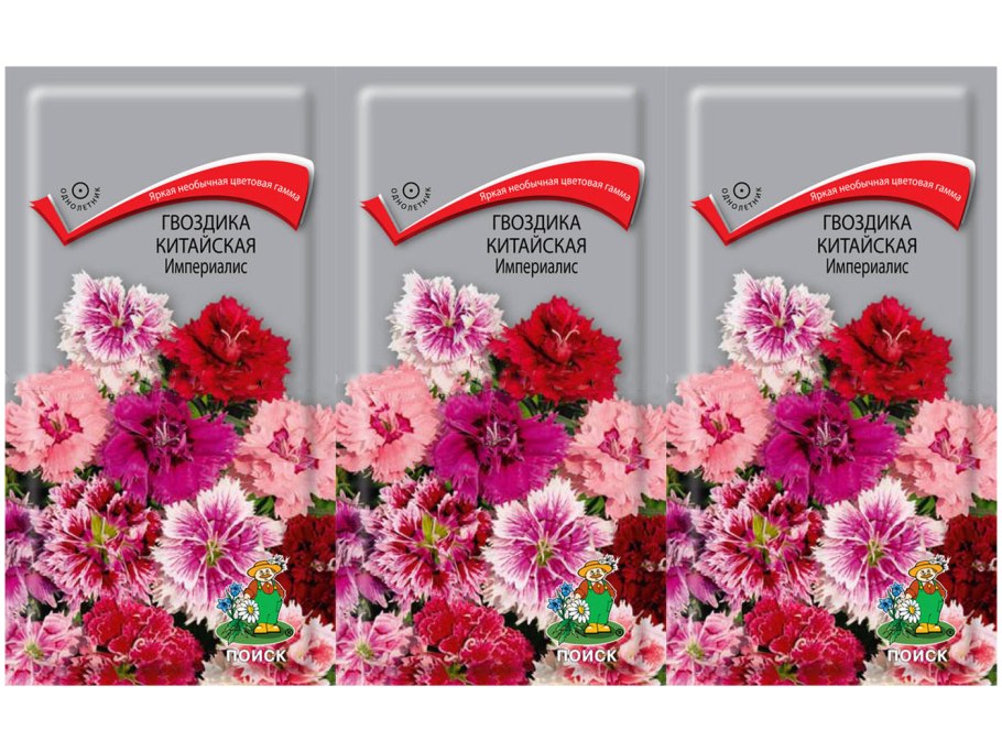 Гвоздика китайская махровая Империалис