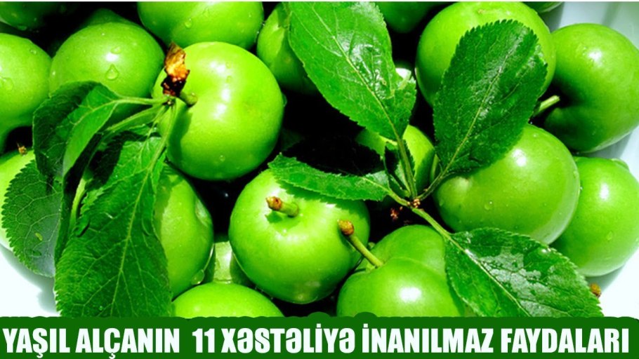 Erik фрукт Турция