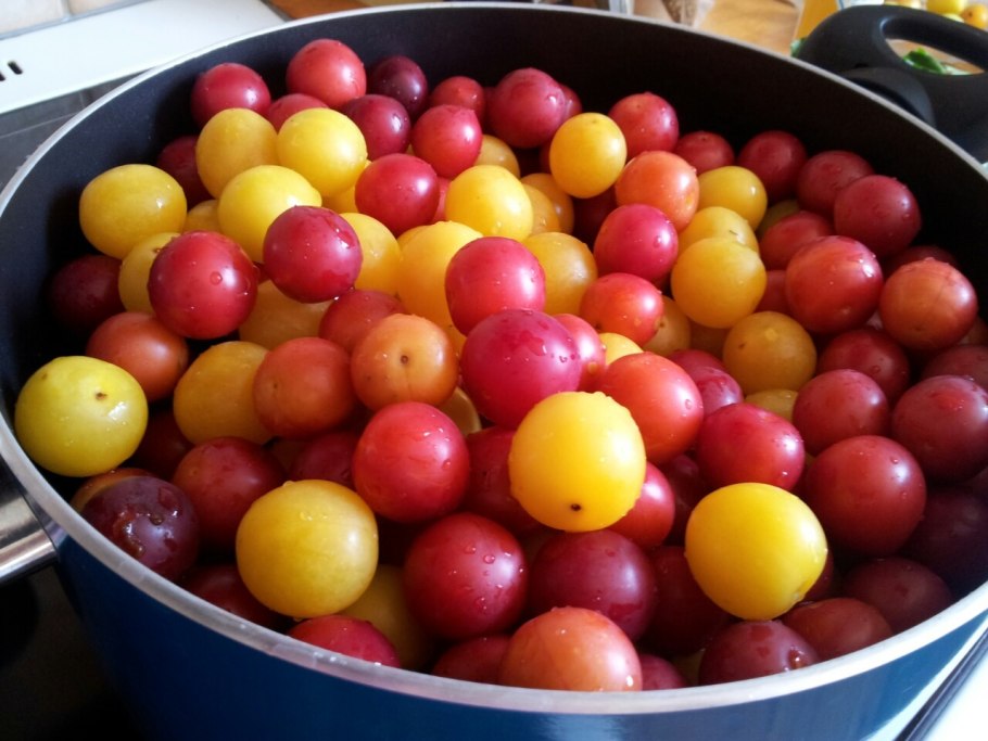 Зеленая слива ткемали