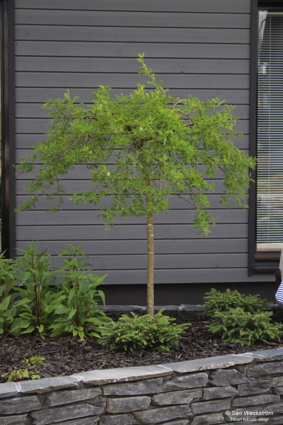 Брелок Mongoose LS 9000d