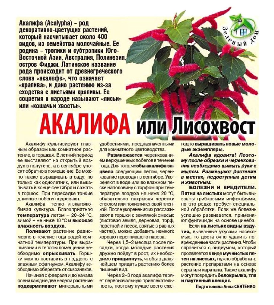 Травы названия