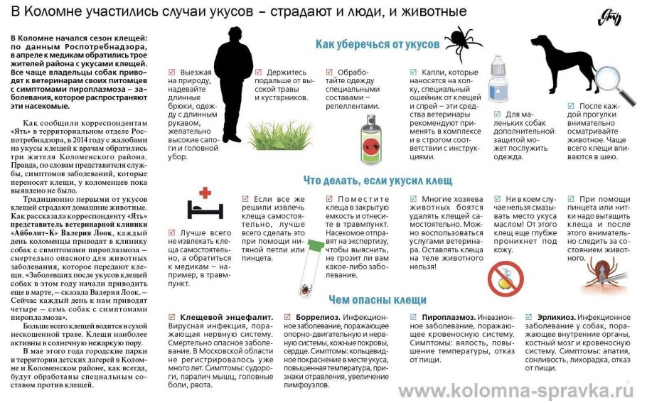 Список потенциально опасных пород собак в России 2022