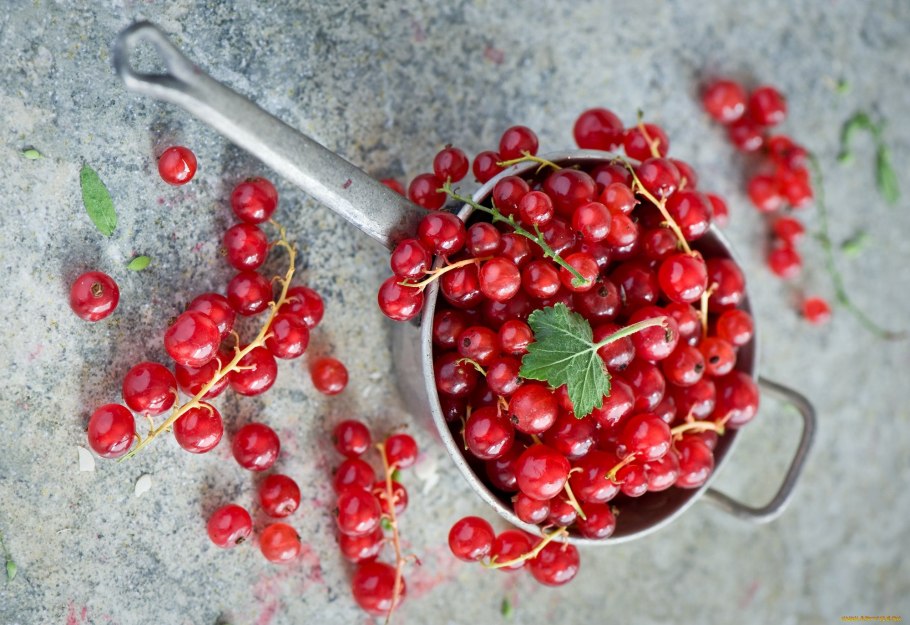 Смородина Эстетика