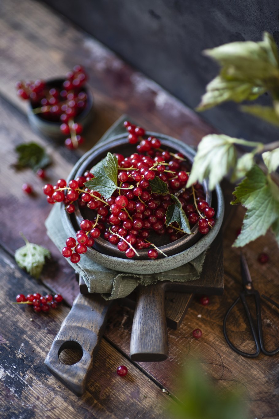 Красная смородина и крыжовник