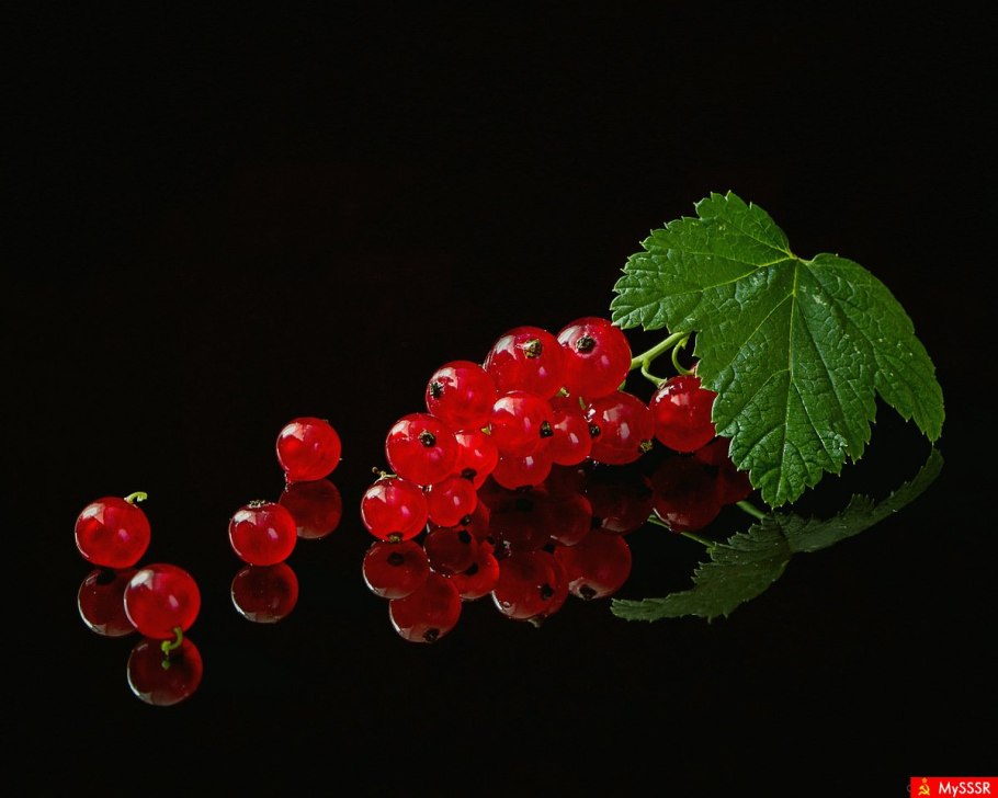 "Smorodina Reka" && ( исполнитель