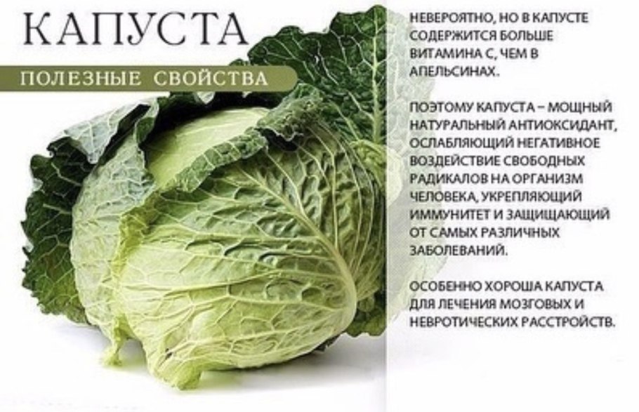 Семена Тимирязевский питомник капуста б/к Агрессор f1 10шт