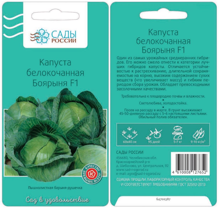 Капуста Мензания