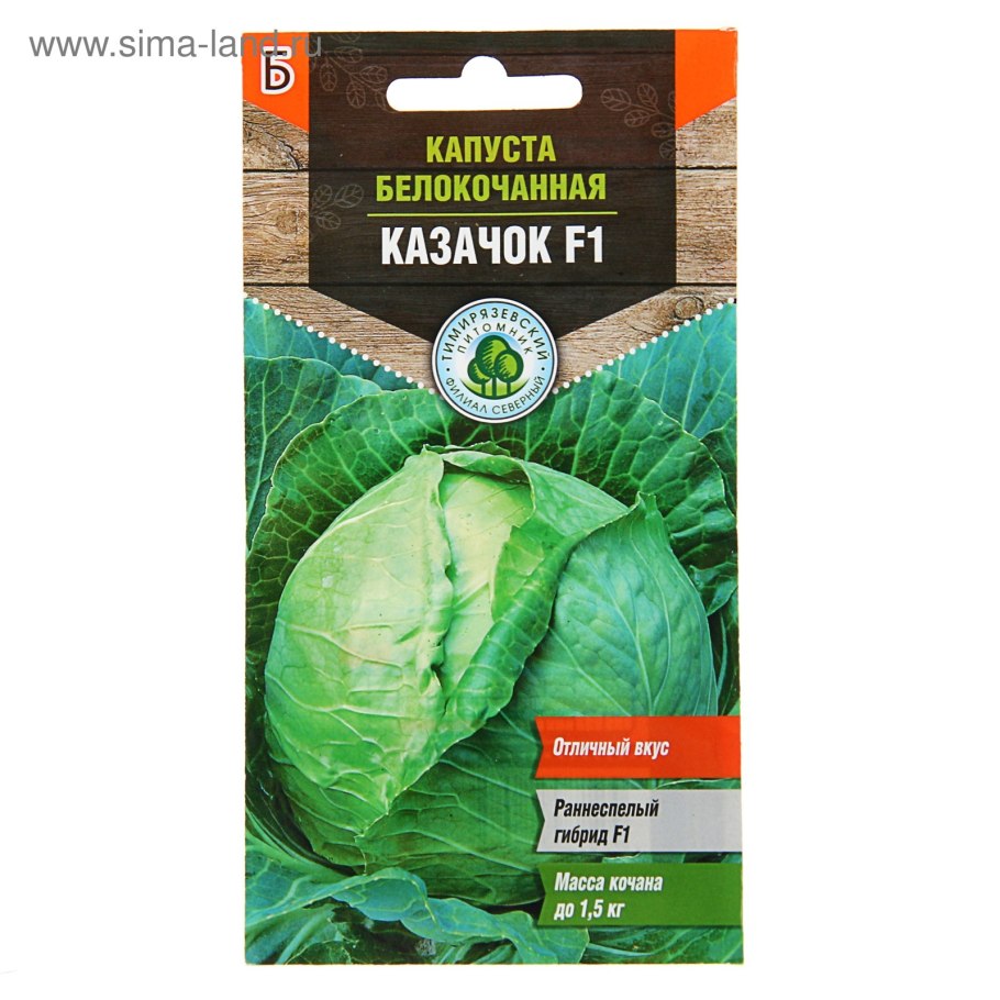 Семена поиск капуста белокочанная Арктика f1 0.2 г