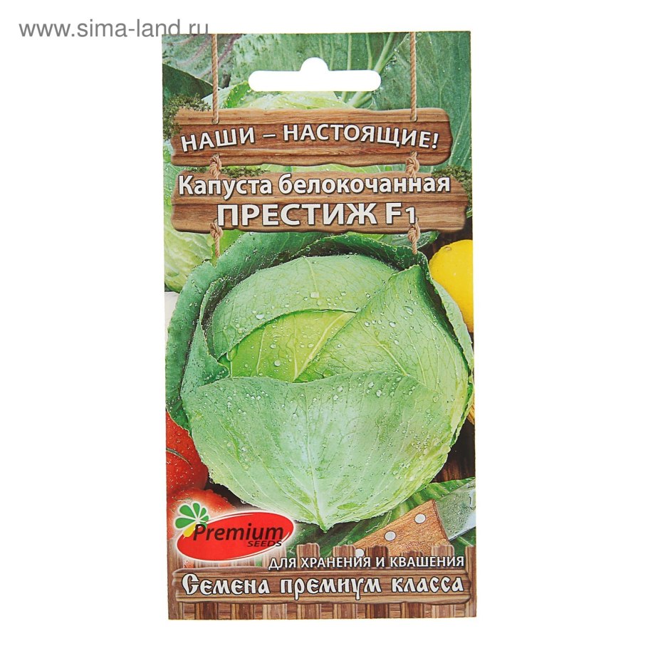 Капуста белокочанная Джинтама f1