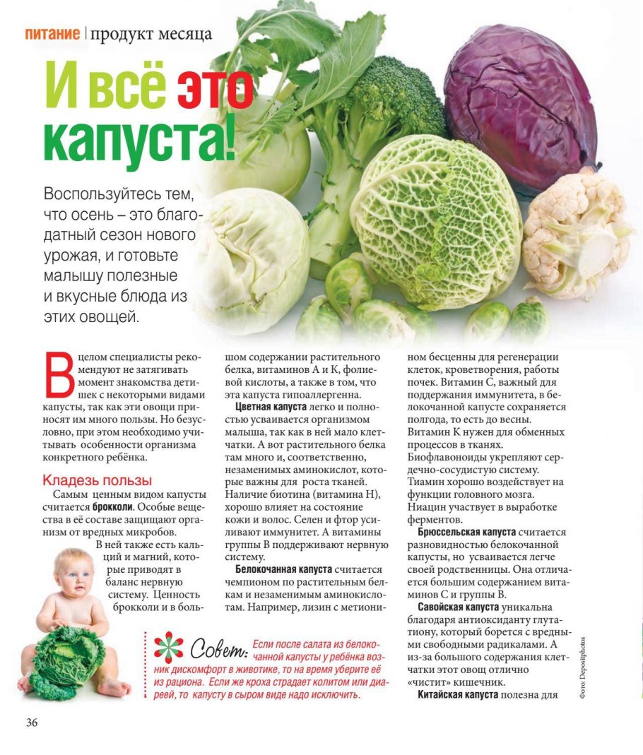 Капуста кейлетс