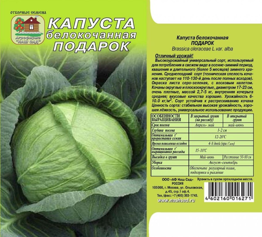 Капуста белокочанная Казачок