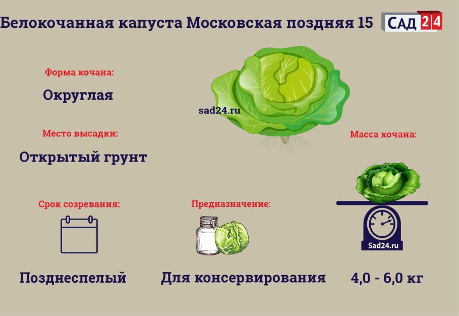 Капуста белокочанная чудо на рекорд f1