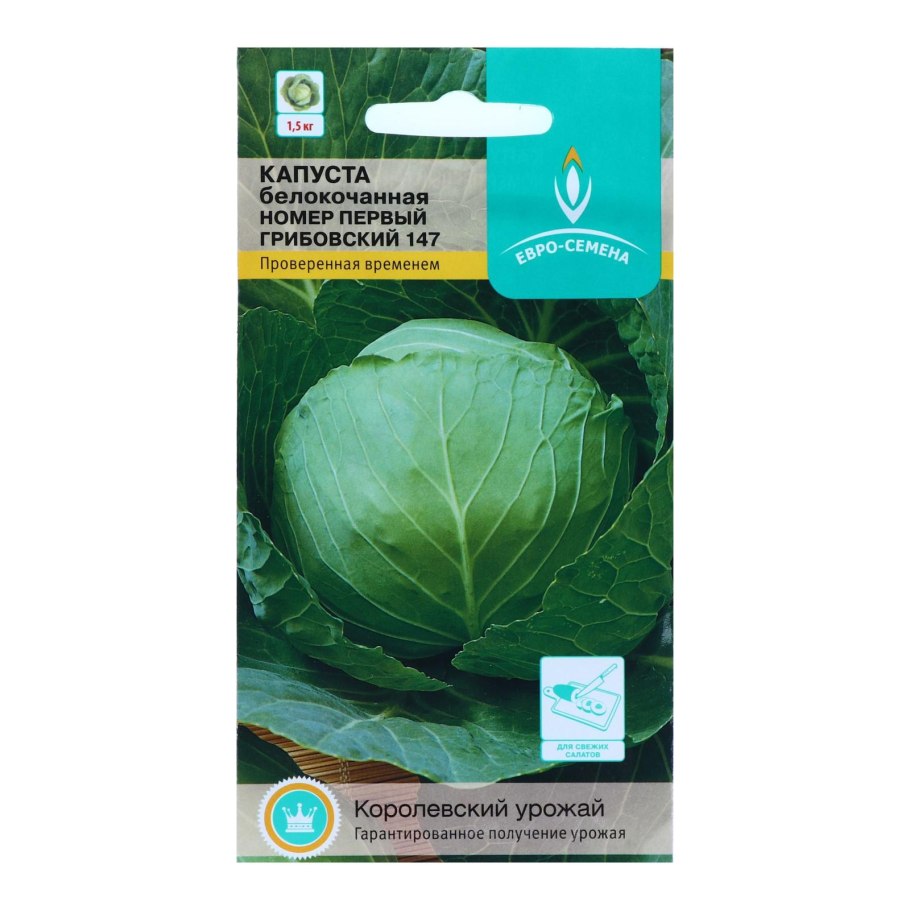 Фазы развития капусты