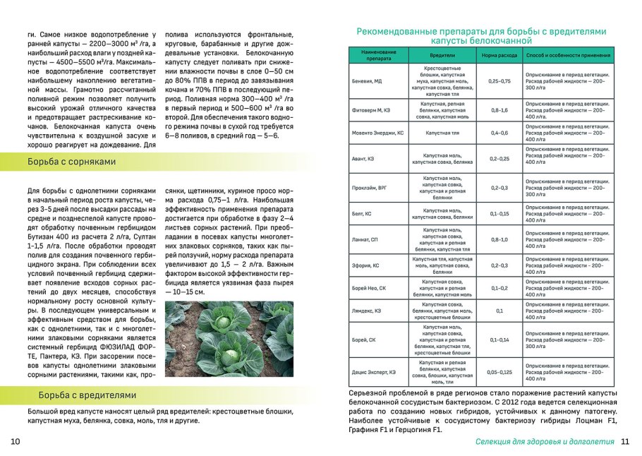 Схема подкормок капусты белокочанной