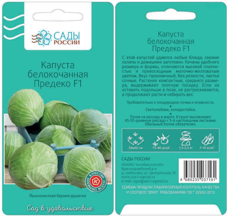 Капуста кейлетс Отамн Стар