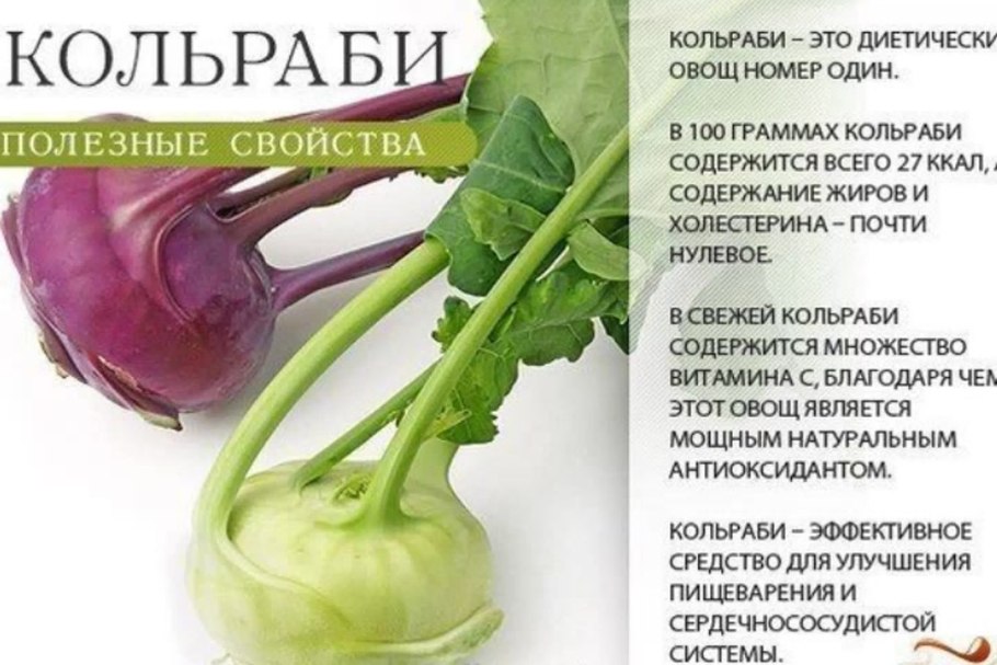 Удобрения для овощных культур в открытом грунте