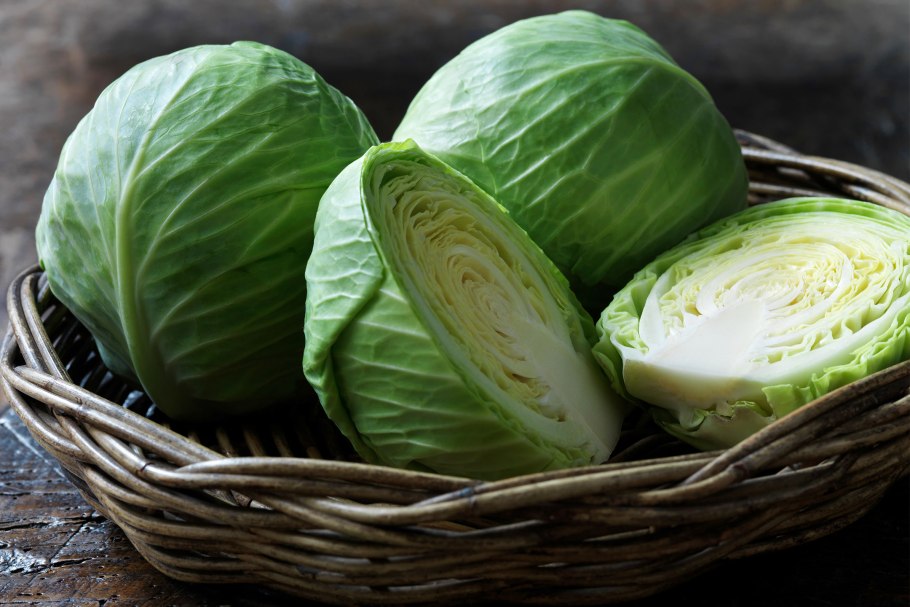 Капуста Мегатон схема посадки