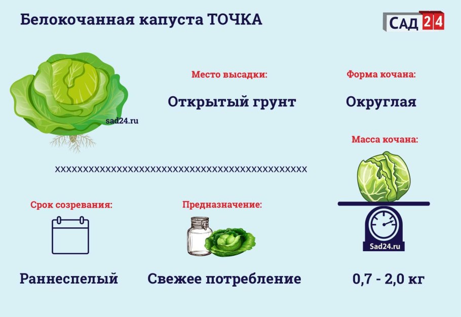 Капуста в точках что означает