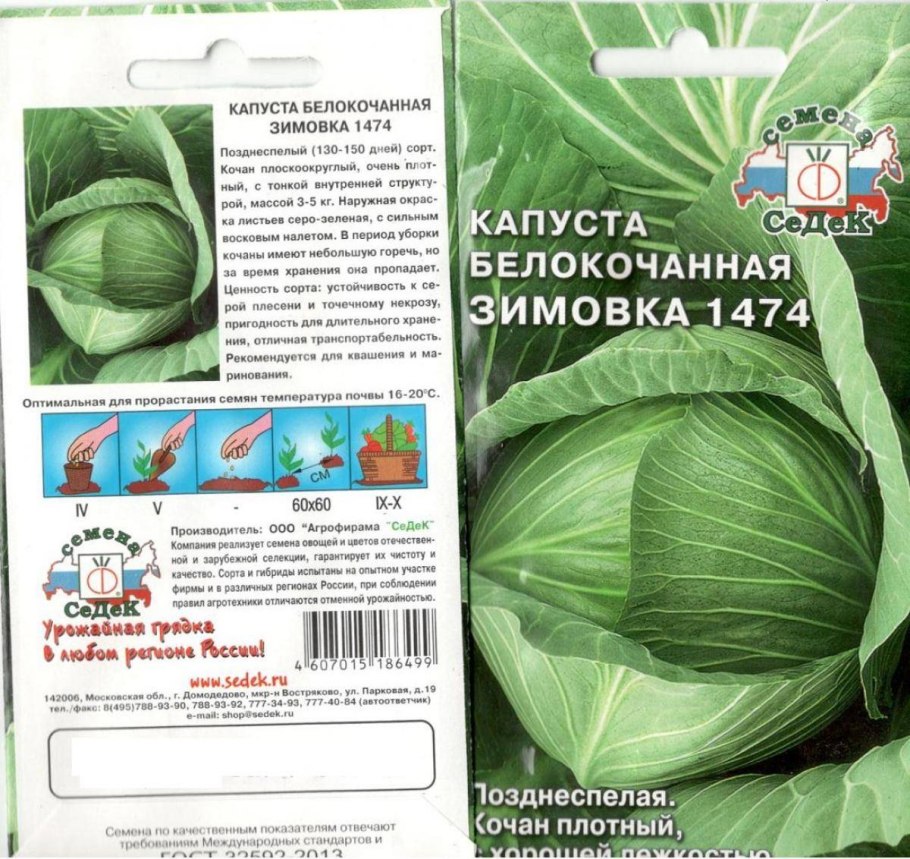 Капуста зимовка 1474