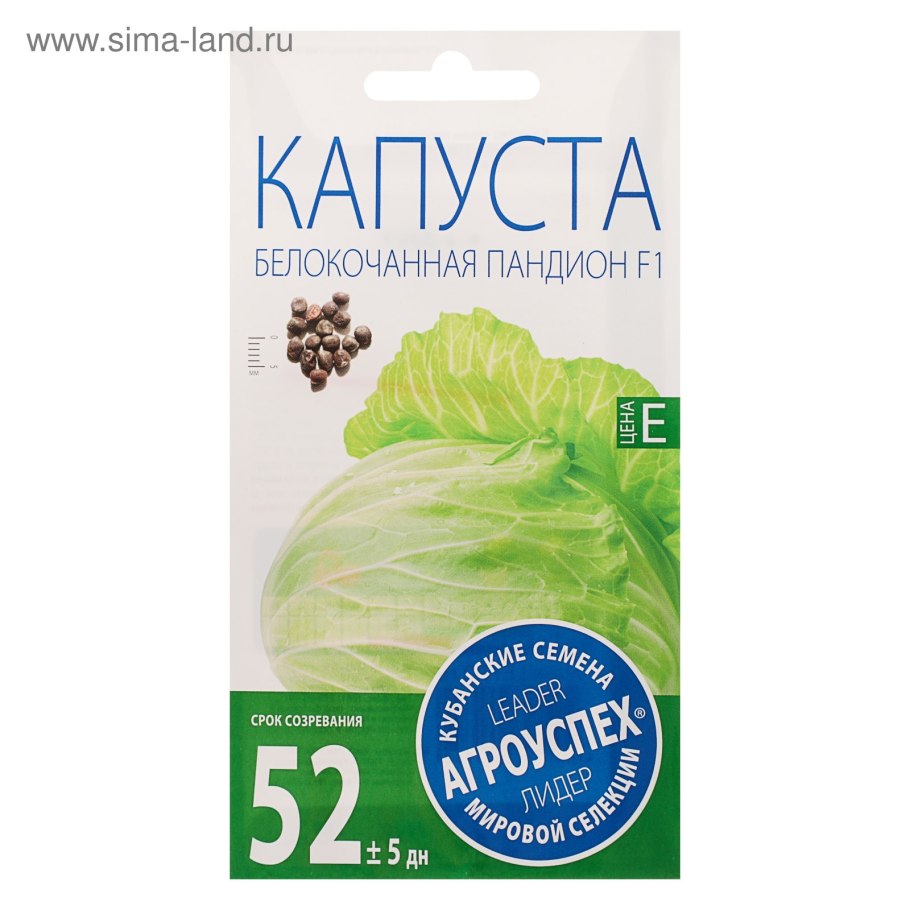 Капуста белокочанная слава 1305