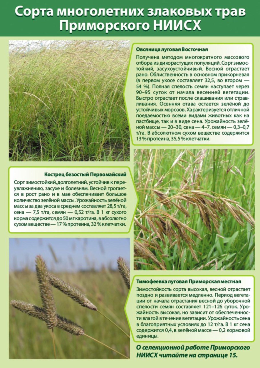 Урожайность многолетних трав на сено