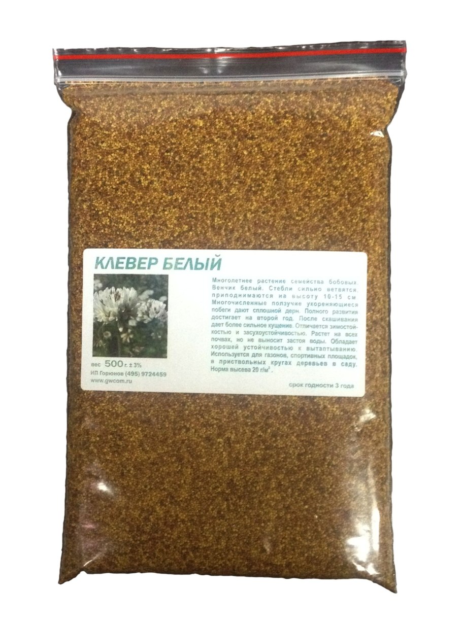 Клевер Луговой красный поле