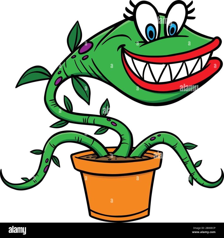 Венерина мухоловка ест колбасу