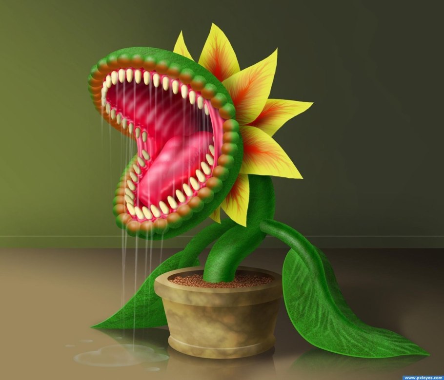 Хищное растение непентес сообщение