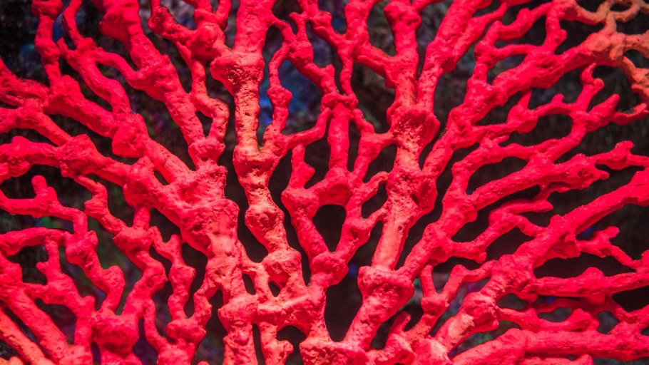 Микшерный пульт Markus LS 82d