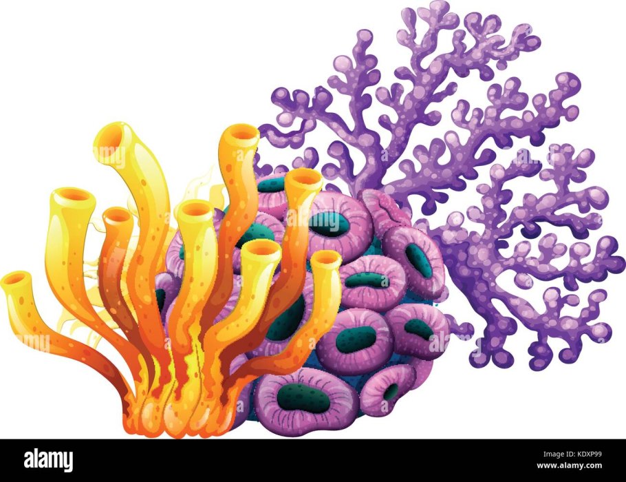 Царство живой природы классификация схема