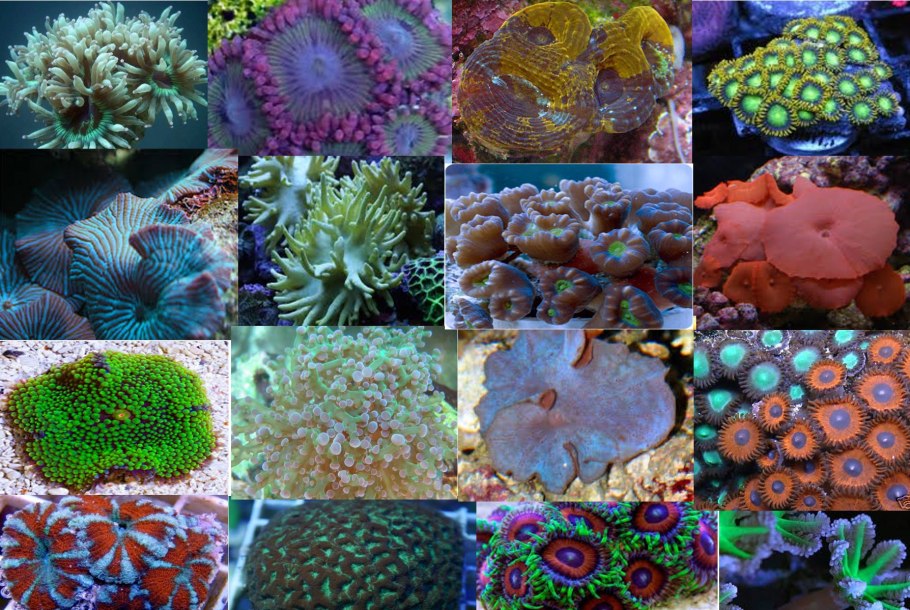 Строение кости ЕГЭ биология