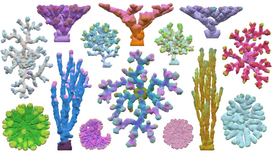 Коралловые полипы актиния