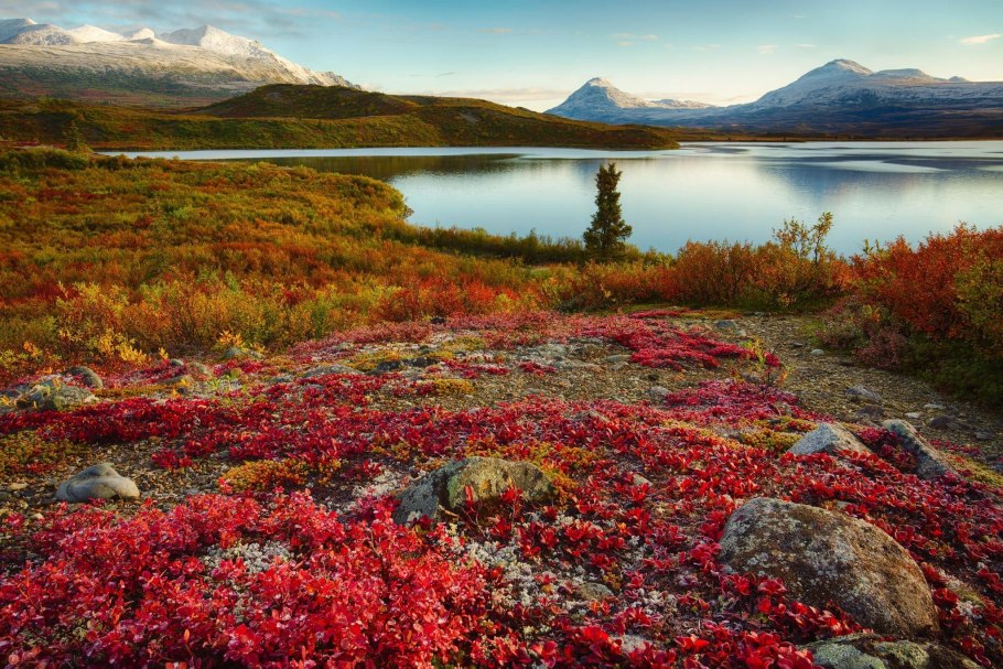 Тундра Мурманск
