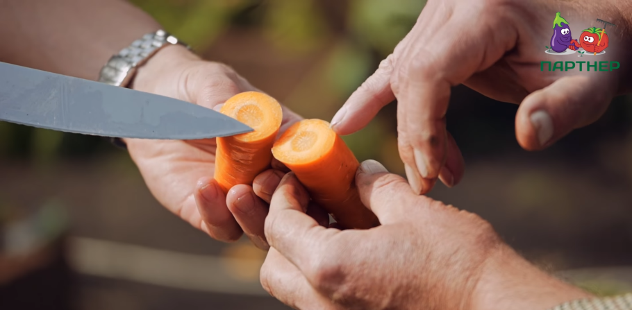 Тельмо пипер