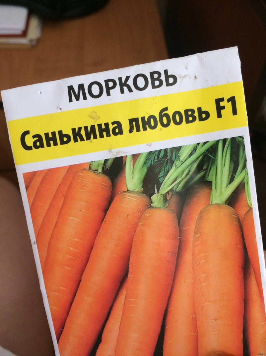 Морковь на английском языке