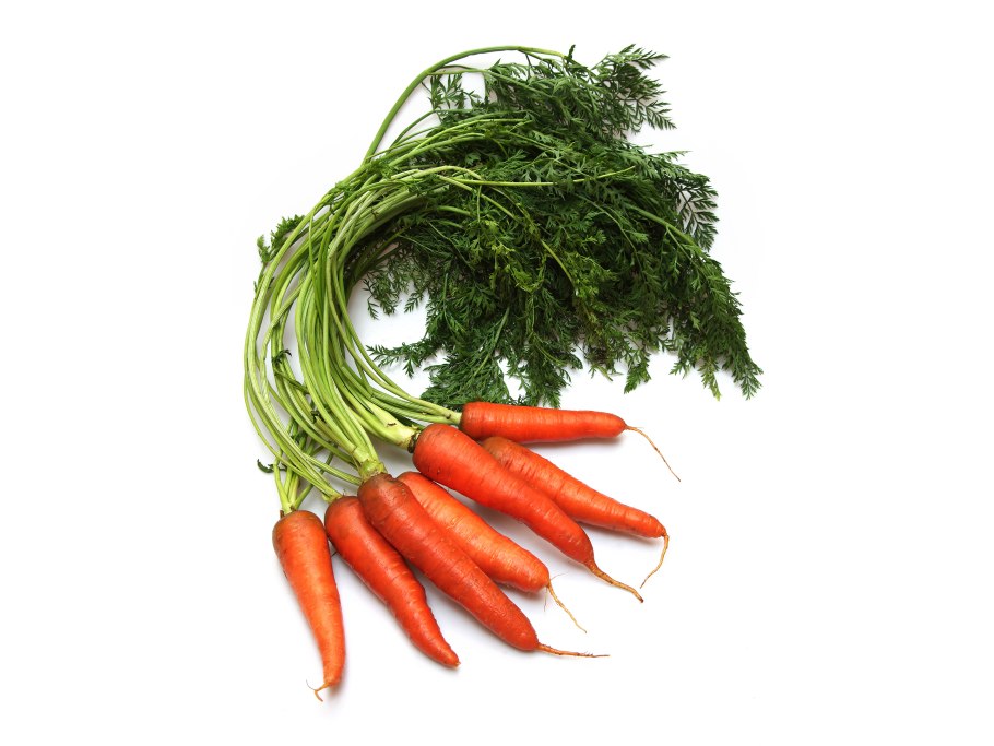 Партнер морковь Краса севера