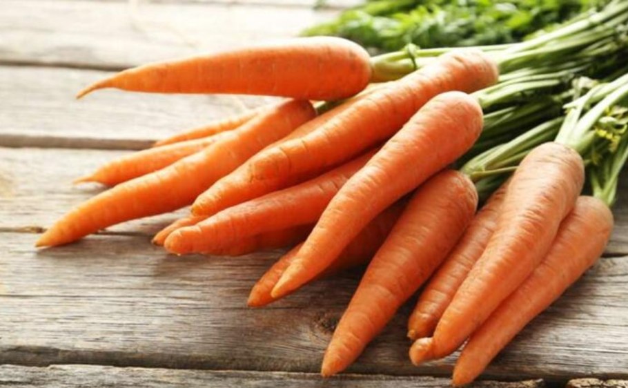 Семена Гавриш Bejo морковь Канада f1 150 шт.