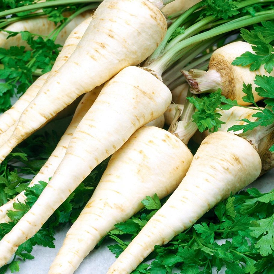 Морковь Курасао фирма Вилморин