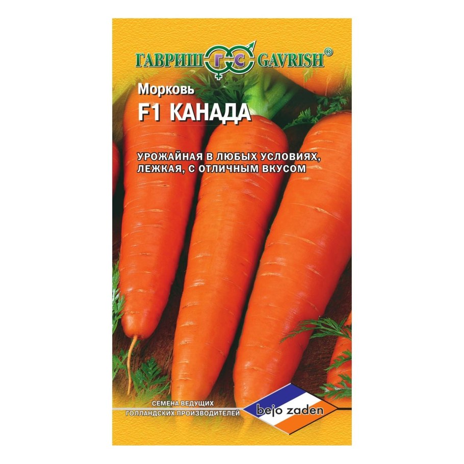 Морковь Нантская