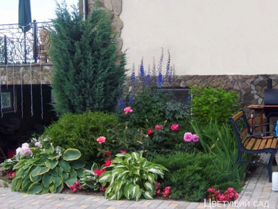 Альпийская горка Хоста можжевельник